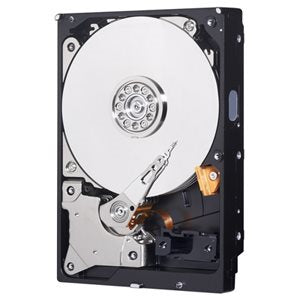 WD HD3.5 Zoll SATA3 500GB WD5000AZLX / 7.2k Blue (Di)