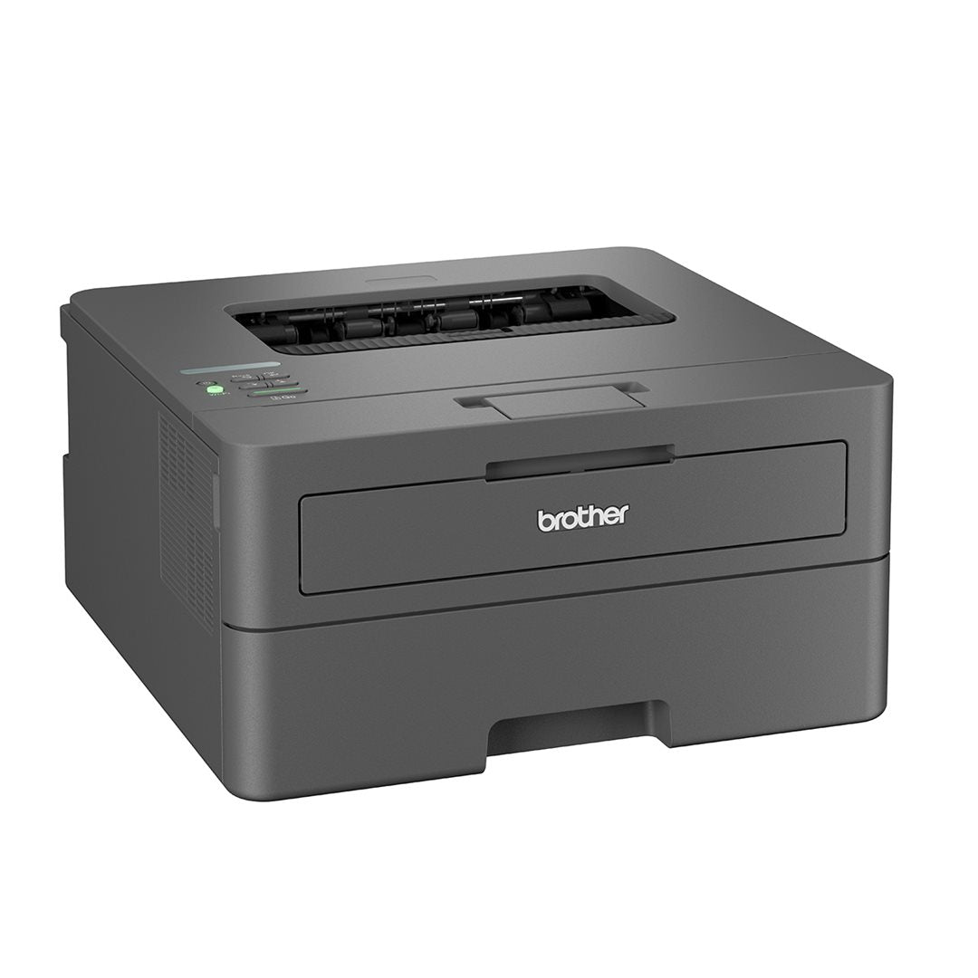 Brother HL-L2400DW SW-Laser